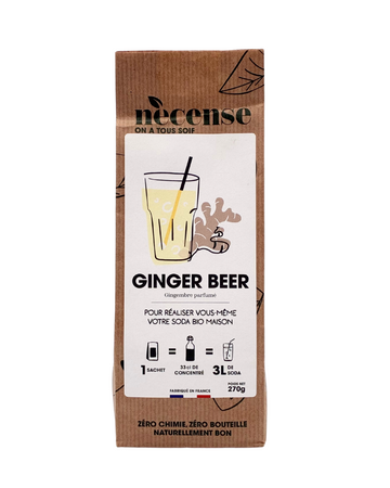 Ginger Beer BIO - 3L